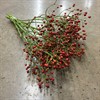 NYPON ROSEBUTTLE AUTUMN SPLASH 60 CM